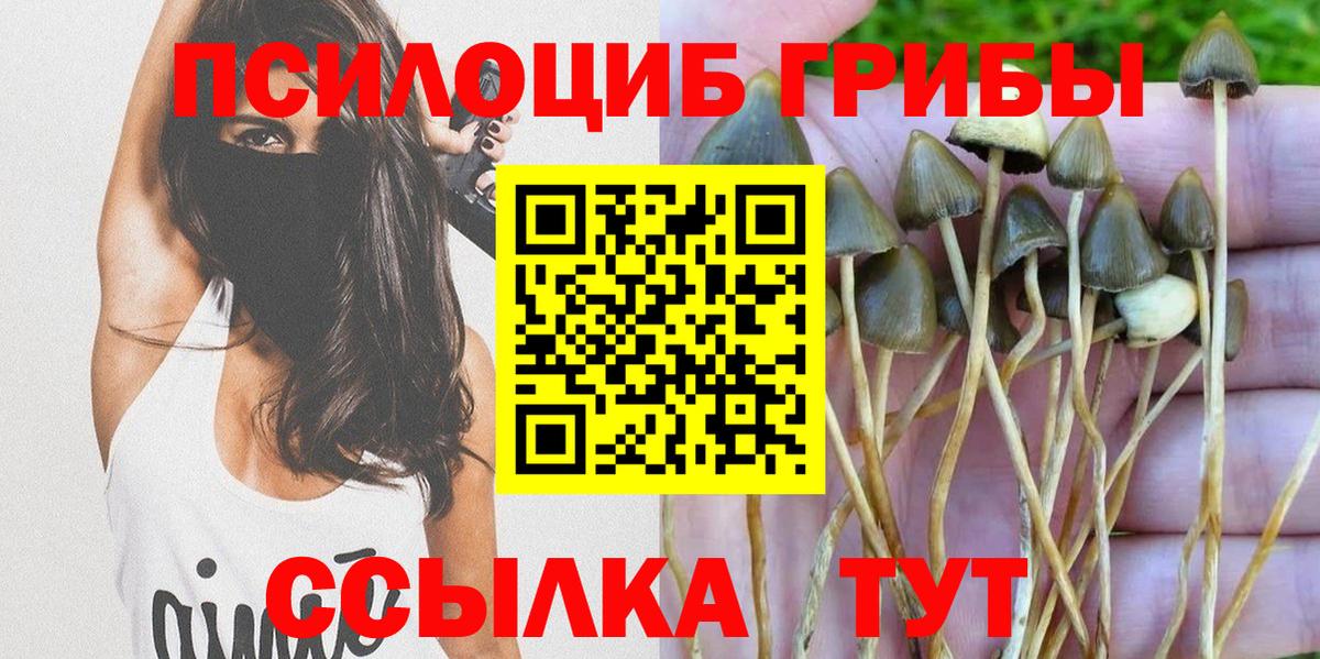 Псилоцибиновые грибы Cubensis  Вход с VPN  Сегежа  Галлюциногенные грибы Cubensis 