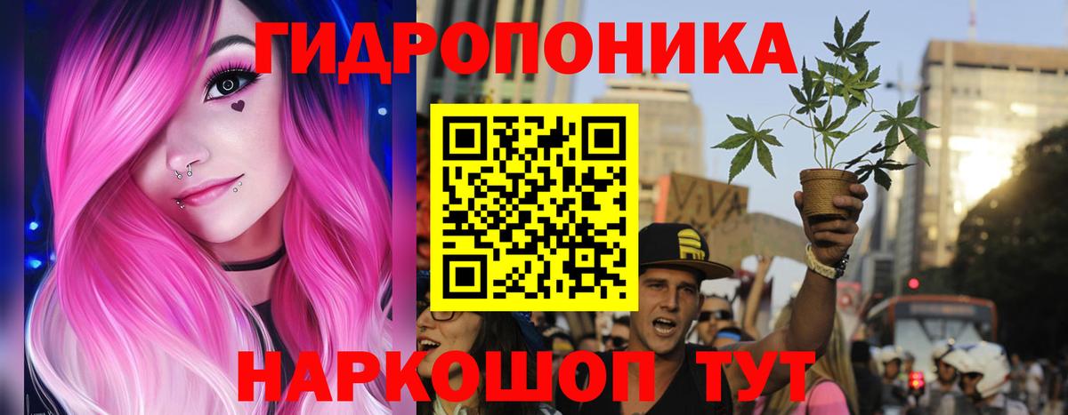 Марихуана Amnesia  Бошки Шишки тримм  Вход с VPN  Сегежа  Шишки марихуана конопля  Канабис SATIVA & INDICA 